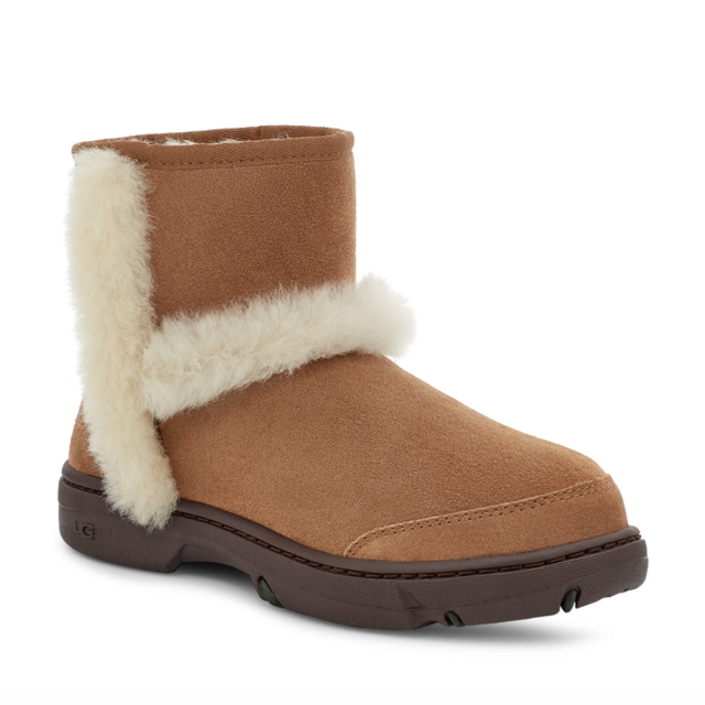 Uggs shop half off